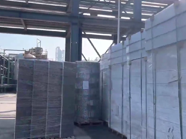 四川福華集團  二乙酯項目，塔內(nèi)件，填料